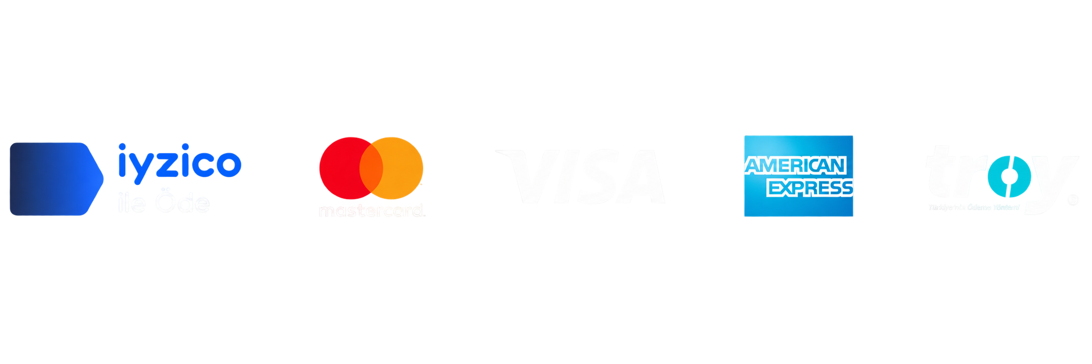 iyzico ile Öde, Visa ve Mastercard güvenli ödeme yöntemleri